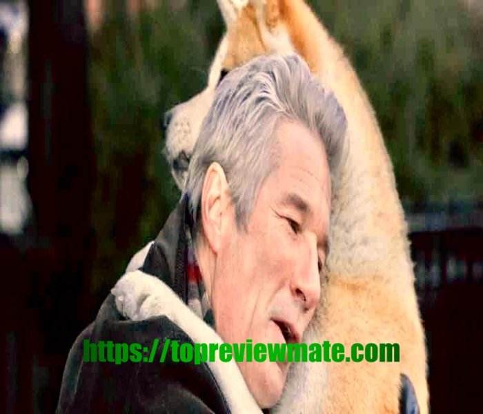 HACHI: A DOG'S TALE 2009 movie