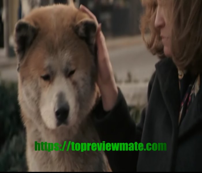 HACHI: A DOG'S TALE 2009 movie