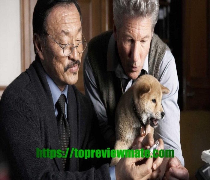 HACHI: A DOG'S TALE 2009 movie