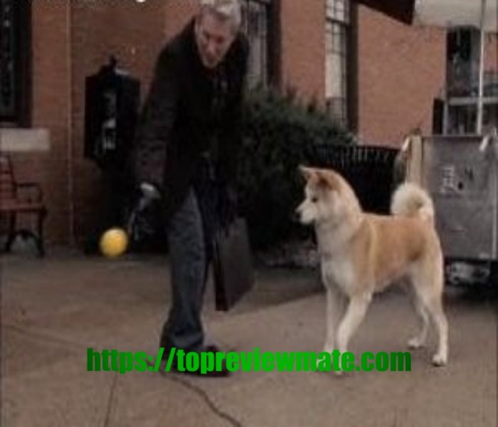 HACHI: A DOG'S TALE 2009 movie (Recap)